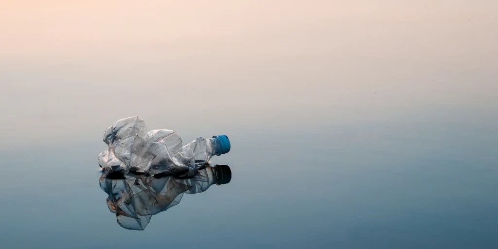 Evolve Organic Beauty