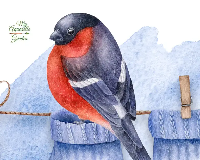Knitted woolen mittens drying on a string. Bullfinch sitting on a string. Christmas, Winter, New Year decoration. Watercolor hand-painted clipart.